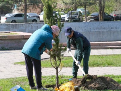 
                    Пришли, чтобы отдать дань земле – алматинцы об экосубботнике
                