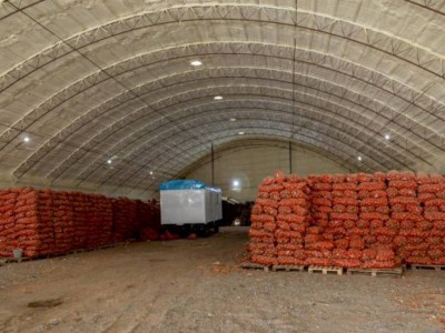 
                    Стабфонды начали реализацию лука торговым объектам Казахстана
                