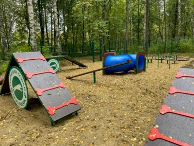 
                    В рамках программы «Бюджет народного участия» в Алматы создаются площадки для выгула животных
                