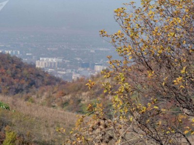 
                    Мы отрегулируем правила застройки, будет запрет на строительство на склонах – Ерболат Досаев
                