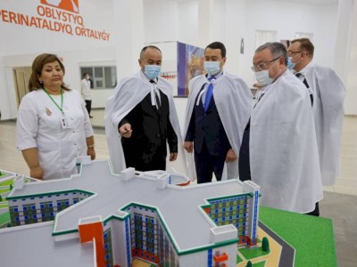
                    Смаилов поручил принять меры по снижению младенческой смертности в Актюбинской области
                