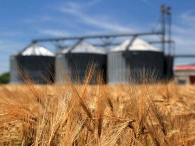 
                    Минсельхоз РК вводит ограничение на экспорт зерна и муки
                