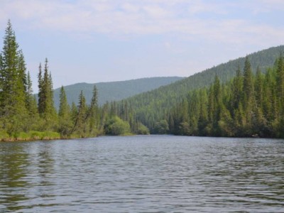 
                    Президент Казахстана поручил разработать проект нового Водного кодекса
                
