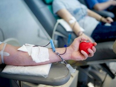 
                    «Ассамблея жастары» организовала в РК акции по сдаче крови для пострадавших
                
