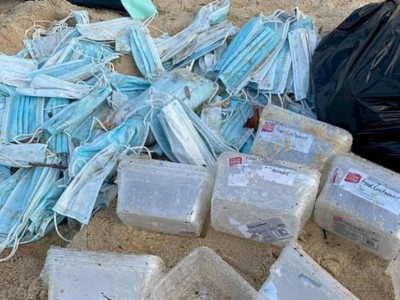 
                    На побережье Капшагая обнаружены медицинские отходы
                