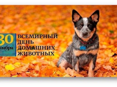 
                    День домашних животных и защиты информации празднуется в мире
                