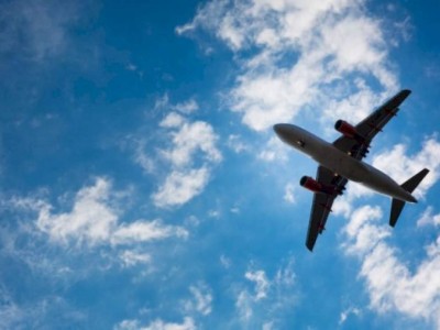 
                    Самолет совершил посадку в Алматы из-за столкновения с птицей
                