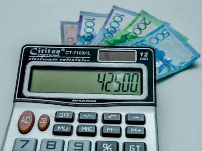 
                    Более 2 млн граждан получили единовременную выплату по потере дохода
                