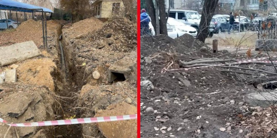 
                    Что волнует алматинцев. В квартире бегают крысы и мыши!
                