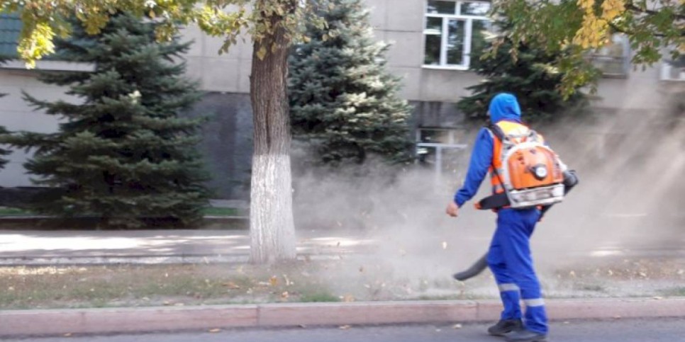 
                    Дежурный по городу. Экологическое благополучие
                