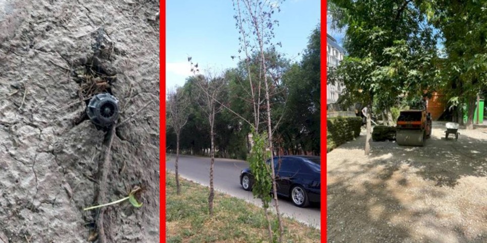
                    Алматинцы шлют «дежурному по городу» тревожные сообщения
                
