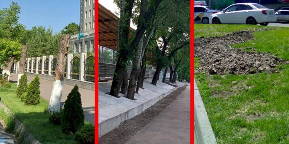 
                    Дежурный по городу. Что-то неладное в последнее время творится в мегаполисе с зелеными насаждениями
                