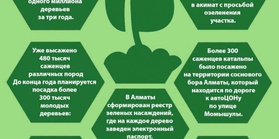 
                    В Алматы продолжается  реализация  программы Jasyl Almaty
                