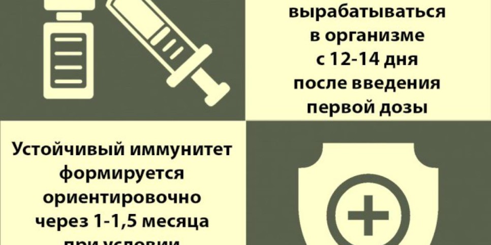 
                    Через какое время после вакцинации вырабатываются антитела?
                