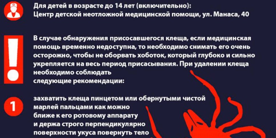 
                    Как правильно снять клеща?
                