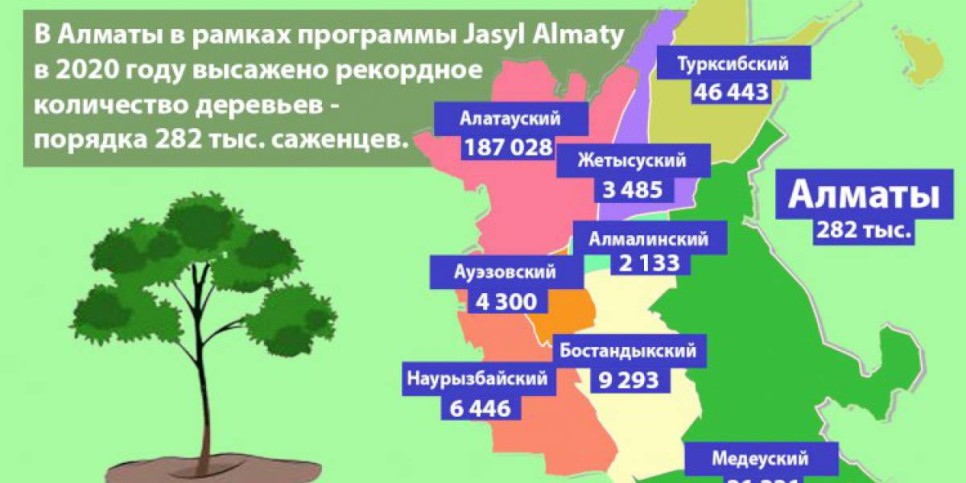 
                    В рамках программы Jasyl Almaty за год высажено 282 тысячи саженцев
                