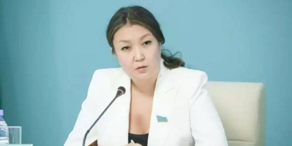 
                    Новым детским омбудсменом назначена Динара Закиева
                