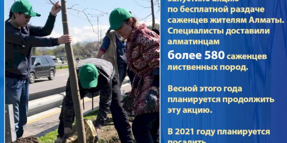 
                    Вернуть Алматы статус  города-сада
                