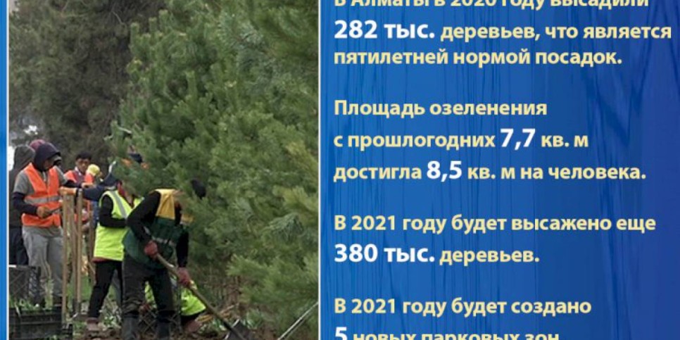 
                    В Алматы в 2020 г. площадь озеленения  достигла 8,5 кв. м на человека
                