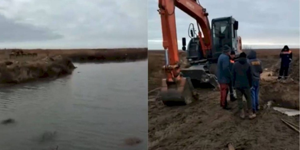 
                    В Атырауской области в каналы запустили воду для скота
                