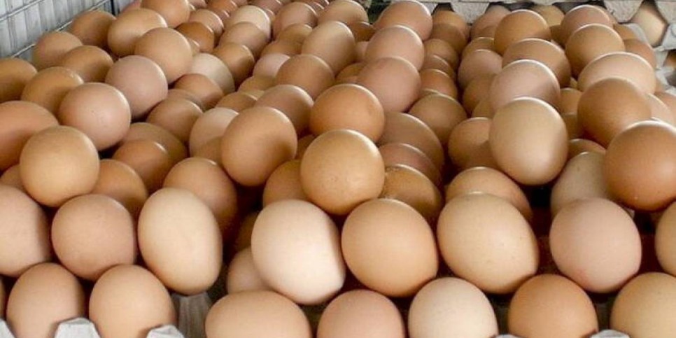 
                    Какие продукты в РК подорожали за неделю
                
