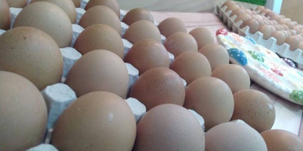 
                    Минсельхоз увеличивает субсидирование птицефабрик в Казахстане
                