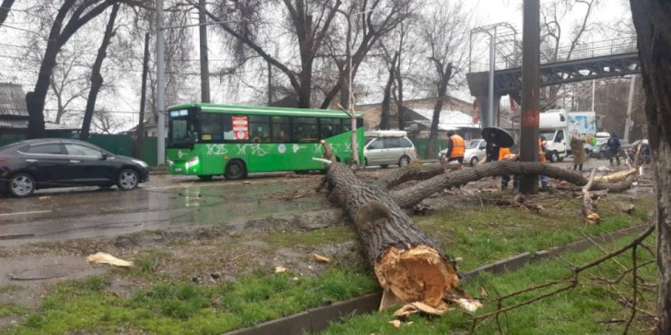 
                    Как в Алматы ликвидируют последствия непогоды
                