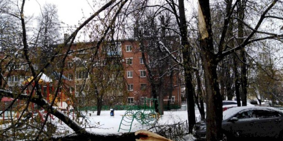 
                    В Алматы упавшие во время снегопада деревья повредили 44 авто
                