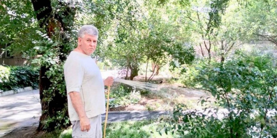
                    Как доктор Ховин лечит братьев наших «зеленых»
                