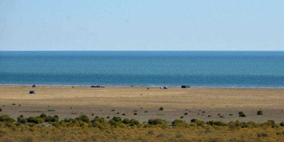
                    Саксаулом засадят более 1 млн гектаров дна Аральского моря
                