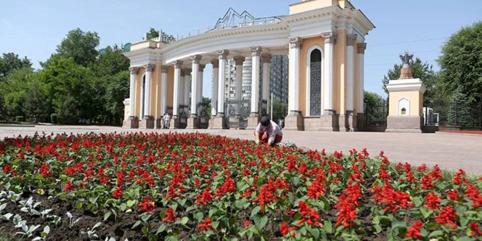 
                    В Алматы посетители ЦПКиО будут делать селфи на фоне ковров из красных сальвий и цимерарий
                
