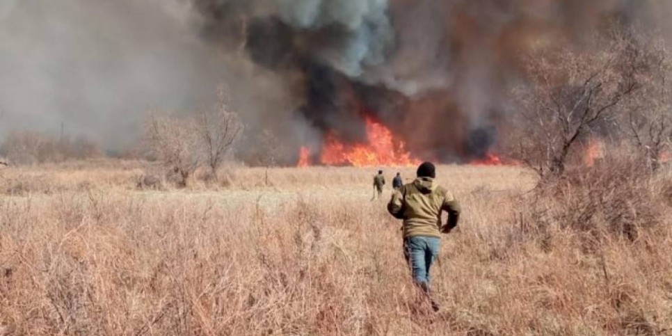 
                    Более 500 лесных и степных пожаров зарегистрировано в Казахстане в этом году
                