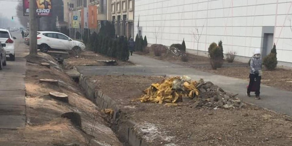 
                    Более десятка деревьев вырубили в центре Алматы: власти ведут расследование
                