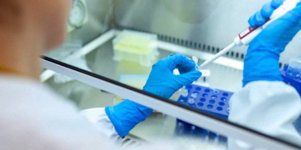 
                    Инновационные средства для лечения ран и ожогов разработали казахстанские ученые
                