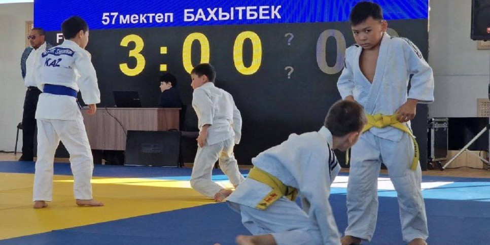 
                    В Астане открылся новый центр дзюдо
                