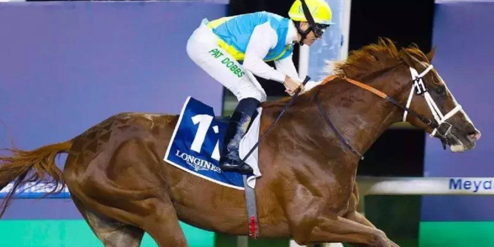 
                    Стали известны имена соперников казахстанского жеребца Кабирхан на Dubai World Cup 2024
                