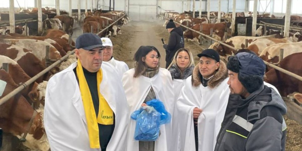 
                    Представители партии «Ауыл» встретились с сотрудниками предприятия «Қызылжар сүт»
                