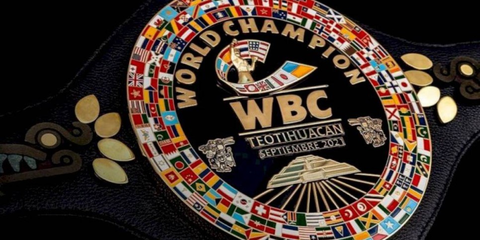 
                    Юбилейная конвенция WBC пройдет в Казахстане
                