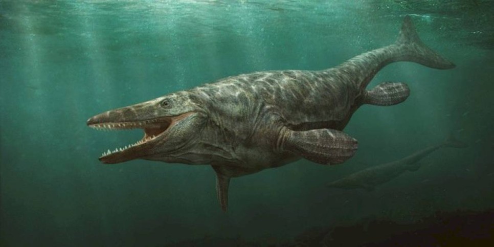 
                    Останки доисторического «морского монстра» обнаружили высоко в горах
                