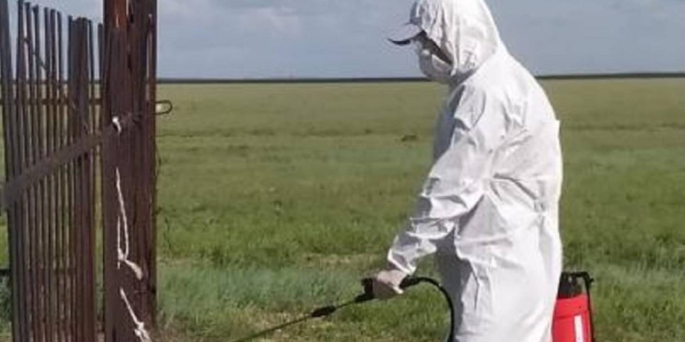 
                    Вспышек инфекционных заболеваний удалось избежать в ЗКО
                