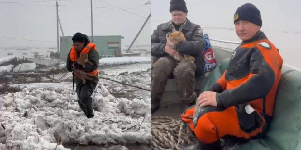 
                    Одинокого охранника и его кошку спасли в Акмолинской области
                