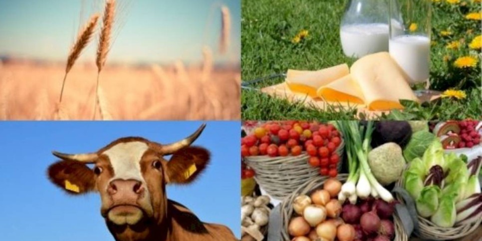 
                    Казахстан вошел в тройку лидеров ЕАЭС по росту производства сельхозпродукции
                