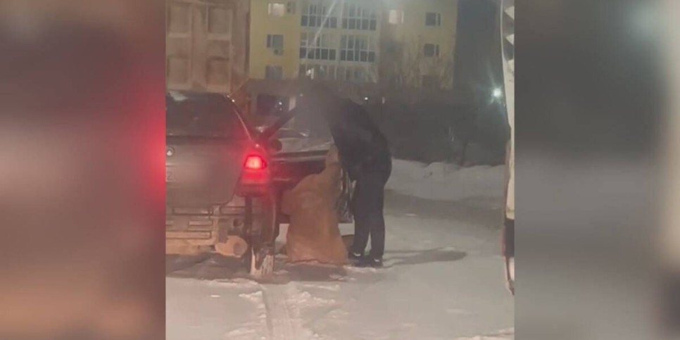 
                    Жену выкинул из машины пьяный водитель в ночной Астане
                