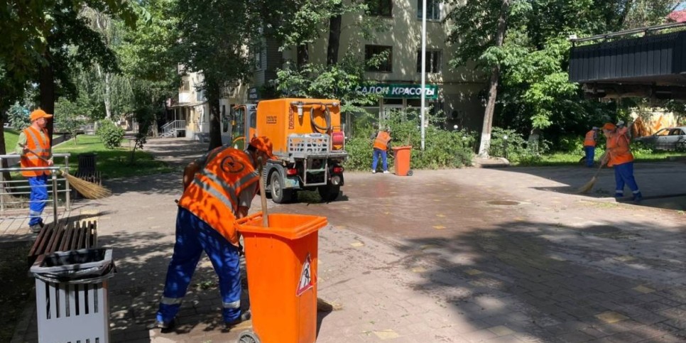 
                    Алматы станет еще зеленее: 230 деревьев, 55 тысяч кустарников и масштабное благоустройство
                