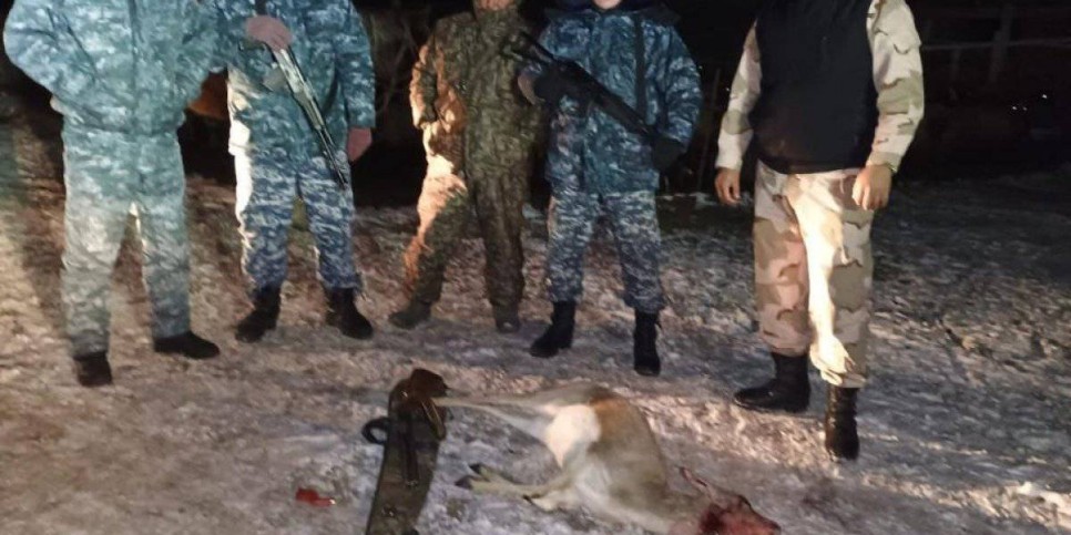 
                    Застрелили краснокнижных джейранов: браконьеров задержали в Жамбылской области
                