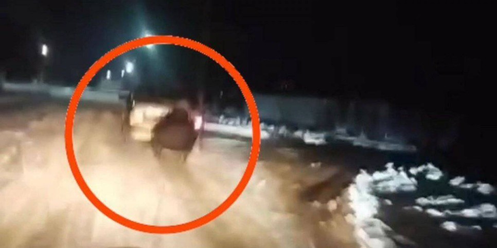 
                    Авто с прицепленными санями, в которых находились дети, колесило по городу Каратау
                