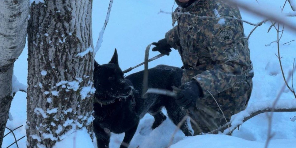 
                    Закопали в горах: тело убитой девочки из Талдыкоргана нашли вблизи Текели
                