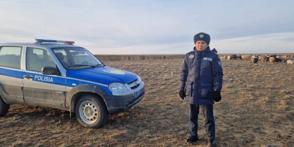 
                    800 пропавших овец на 35 млн тенге нашли костанайские полицейские
                