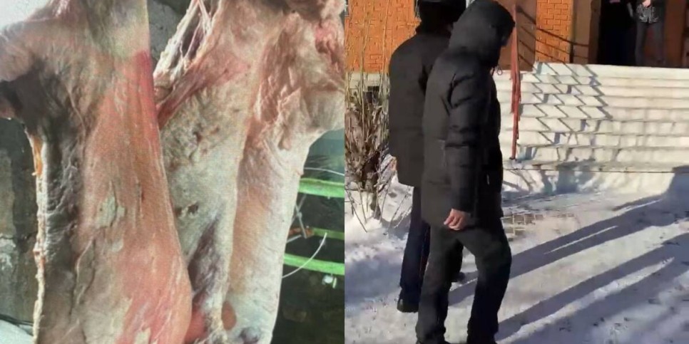 
                    Хотел заработать на свадьбу: скотокрадов задержали акмолинские полицейские
                