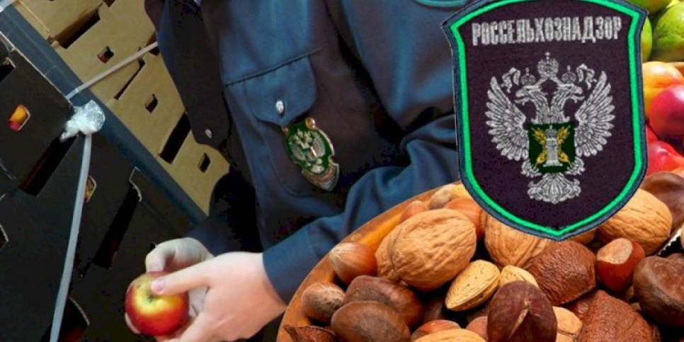 
                    Россельхознадзор заявил о нарушениях при ввозе сельхозпродукции из Казахстана
                